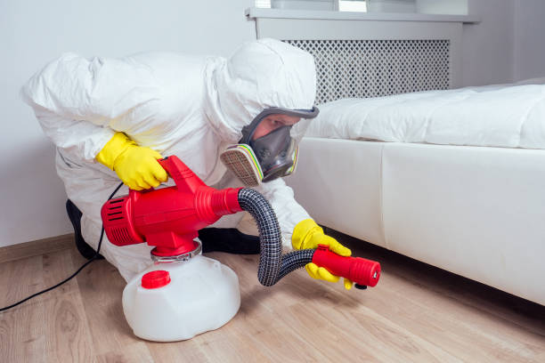 Emergency Pest Control Services in Grand Haven, MI